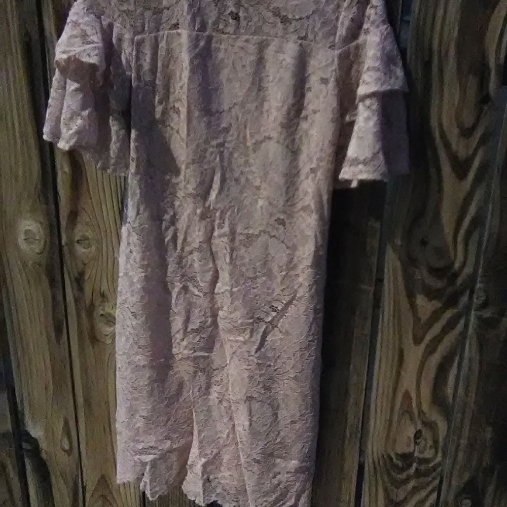 Roz & Ali Pink Lacey Dress